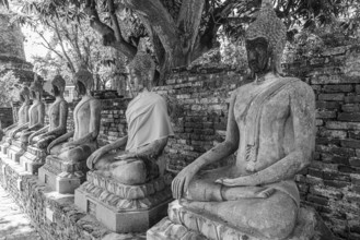 Stone Buddha statues sitting in a row, historic Buddhist temple complex, black and white photo,