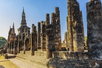 Historic Buddhist temple complex Wat Mahathat, historical park, Sukhothai, Sukhothai province,