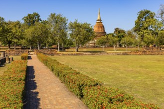 Historical park with green lawn and red honeysuckle hedges, a temple tower in the back, Prang,
