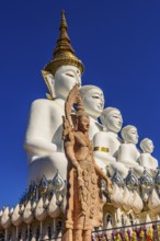 Five-headed Buddha statue, Wat Phra That Sorn Kaew Buddhist temple complex, Phetchabun province,
