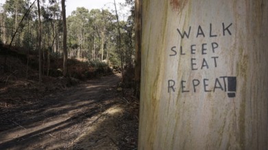 Roadside tree with the inscription 'Walk Sleep Eat Repeat' in the forest, pilgrimage on Caminho