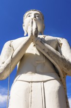 Stone praying white Buddha statue, historic Buddhist temple complex, Ayutthaya, Thailand