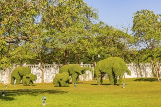 Royal Park, family of elephants made of bux tree, Thai King's Summer Palace, Bang Pa-In, near