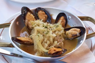 Tasty seafood platter with mussels and aromatic herbs in an elegant restaurant, Hotel Europa,