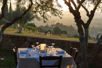 Table set under olive trees with a view of a picturesque landscape at sunset, Hotel Europa, garden