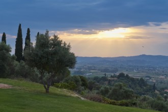 Tree in the foreground, sunset bathes the landscape in warm light, Hotel Europa, garden restaurant