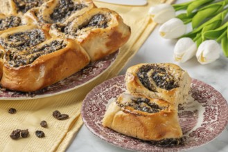 Freshly baked poppy seeds on a plate, next to tulips