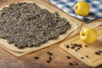 Rolled dough with evenly distributed mixture of poppy seeds, raisins and apples