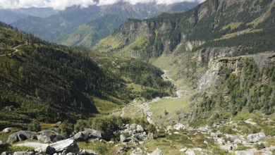Landscape with low-lying valleys and a forested mountain range on the Manali-Leh Highway, Trekking