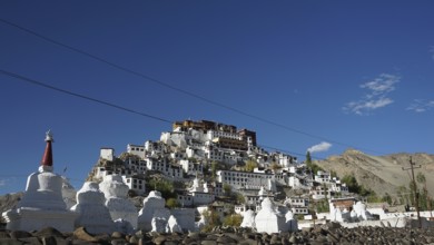 The sprawling Thiksey Buddhist monastery with several stupas against a mountain backdrop under a