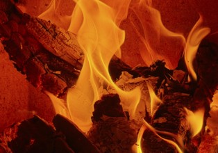 Burning logs in a fireplace, Witten, North Rhine-Westphalia, Germany