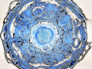 Rising carbon dioxide bubbles in a full water glass with a blue bottom seen from above, detail,