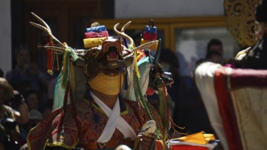 Person wearing painted animal mask with antlers and traditional garments in festive ceremony in