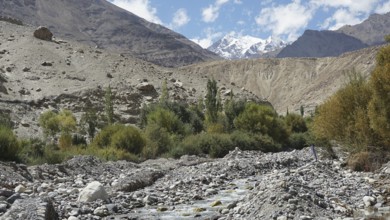 Rocky river through a mountainous landscape with green trees, Nubra Valley, trekking in Ladakh,