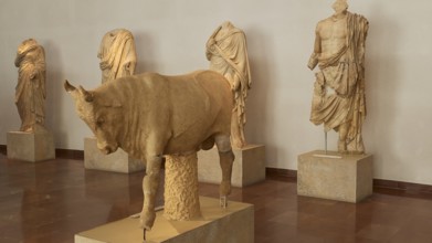 Ancient marble statues, including a bull, on display in a museum hall, Olympia Archaeological