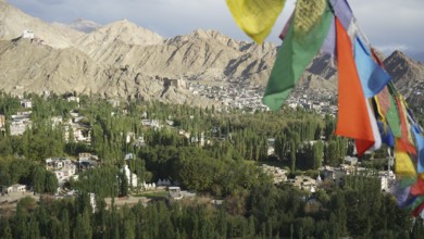 Colourful prayer flags against a green, mountainous landscape under blue sky, Leh, trekking in