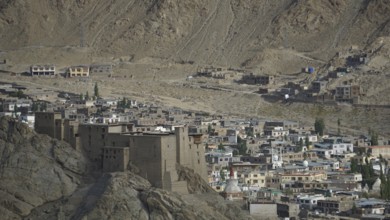 View of the Leh Palace from a hill with Leh in the background in a desert-like environment with