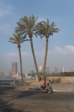 Cairo, Egypt. July 1st 2024 Palm trees beside the Qasr El Nil Bridge and the River Nile in Downtown