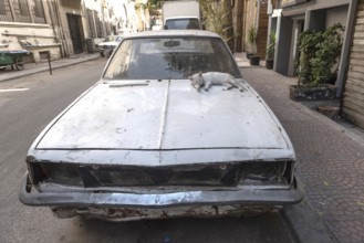 An Egyptian street cat sleeps on the roof of an abandoned old car in the summer heat of Downtown