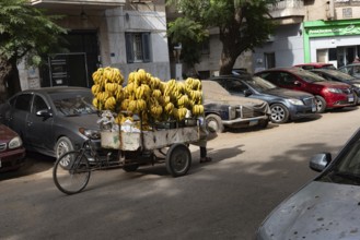 Cairo, Egypt. November 28th 2022 A street stall selling Egyptian bananas, a home grown fruit and