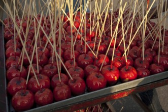 Cairo, Egypt. July 16th 2011 Candy or toffee apples for sale on a Cairo street stall, Egypt