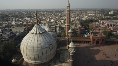 Jama Masjid mosque with minarets amidst a wide panoramic view of the city, Delhi, India