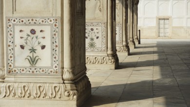 Detailed marble decorations on architecture with columns and crown, Red Fort, Delhi, India