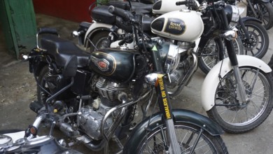 Row of parked Royal Enfield motorcycles in an outdoor area, Manali, Himachal Pradesh, India