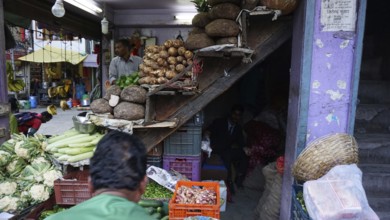 Sales stand at an Indian market with fresh vegetables and visitors, Manali, Himachal Pradesh, India