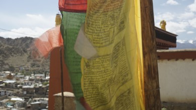 Colourful prayer flags move vividly in the wind against a mountain backdrop, Leh, Ladakh, North