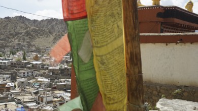 Colourful prayer flags fly over a city in front of a mountain range, Ladakh, North India,