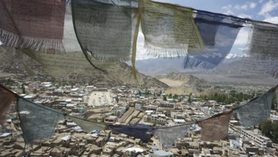 Colourful prayer flags waving in the wind, view of Leh Palace and mountains in the background,