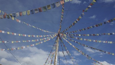 Colourful prayer flags stretch across the blue sky in Leh, Ladakh, North India, Himalayas, India