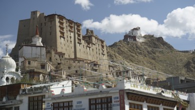 Historic buildings with Leh Palace and temples against a mountainous landscape under blue sky,