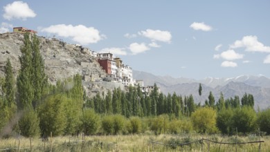 Village buildings on a hill with green landscape and mountains under a blue sky, Ladakh, Himalayas,