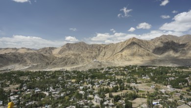 City surrounded by mountains and green trees under a blue cloudy sky, Ladakh, Himalayas, India