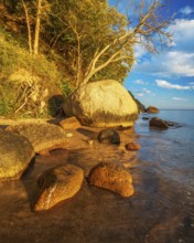 Coastal landscape with large boulders on the Baltic Sea beach in the evening light, Mönchgut Nature