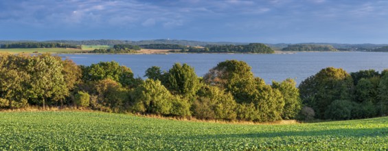View over green fields and lagoon landscape to Granitz with the hunting lodge, Mönchgut nature