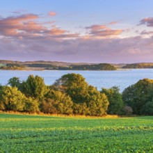 View over green fields and lagoon landscape to Granitz with the hunting lodge in the morning light,