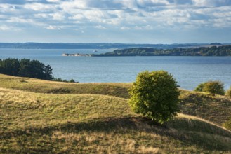 Hilly landscape in the Zicker Mountains, including Zicker Alps, view over the lagoon landscape,