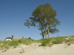 Coastal scene, with a thatched building, Ahrenshoop, Baltic Sea, Vorpommern-Rügen district in