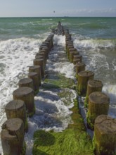 Groves, coastal protection structure, beach, Ahrenshoop, Baltic Sea, Vorpommern-Rügen district in
