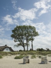 Coastal scene, beach, beach chairs, Ahrenshoop, Baltic Sea, Vorpommern-Rügen district in