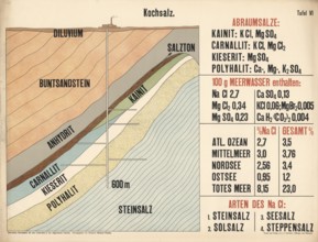 Educational board shows the geological structure of salt deposits and chemical information about