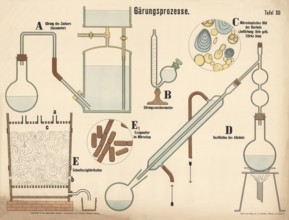 Various chemical devices and microscopic views on the subject of fermentation and distillation,