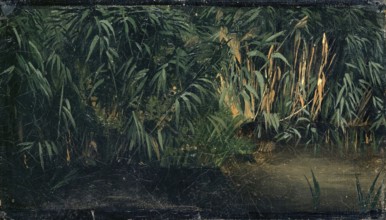 Arnold Böcklin (born 16 October 1827, died January 1901), Swiss painter, draughtsman, graphic