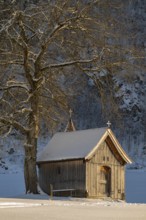 Copper chapel in winter, Hochgallzein, Gallzein, Tyrol, Austria