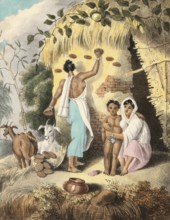 Hindu woman preparing fuel from animal droppings to dry on the wall of the house, India, authentic,