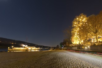 Atmospheric night view at the Blue Wonder, the decorated steamer docks on the Elbe and a large tree