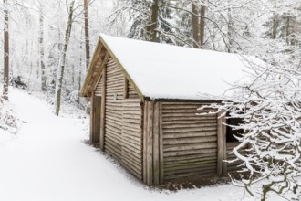 Snowy shelter in the Tharandter Forest, Saxony, Germany